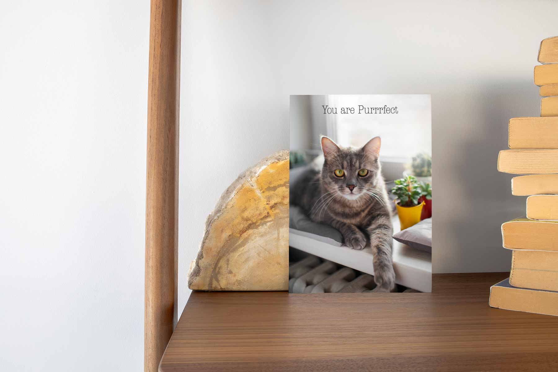 Custom photo card with a pet cat and text that says You are Purrrfect