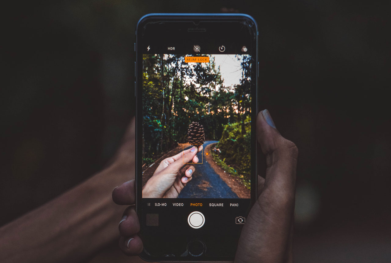 Hand holding iPhone, taking a photograph of a pinecone in nature.