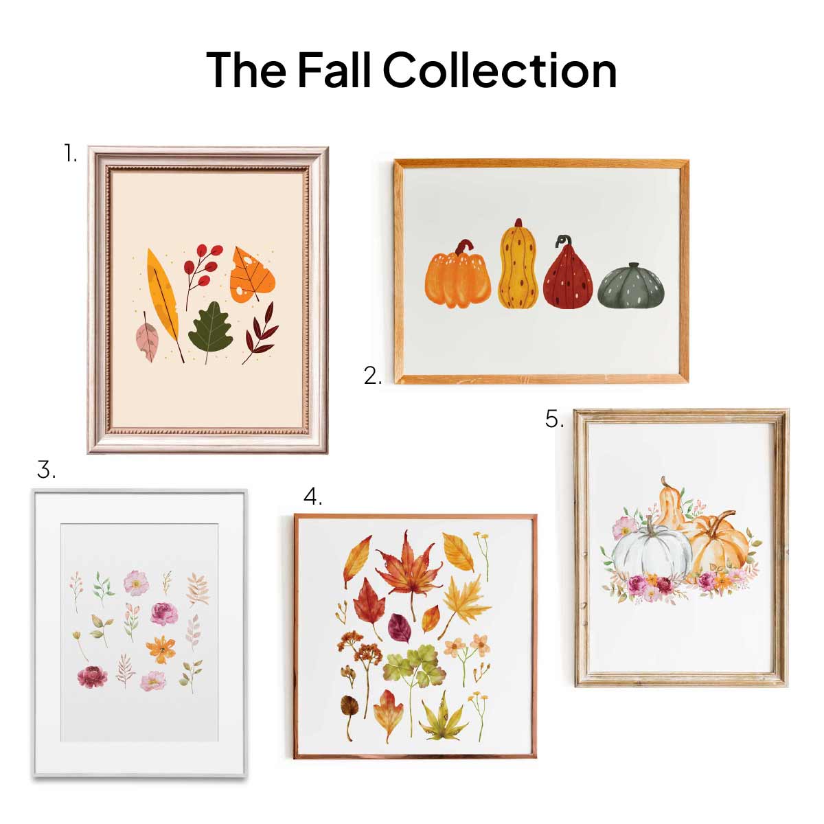 The Fall Collection