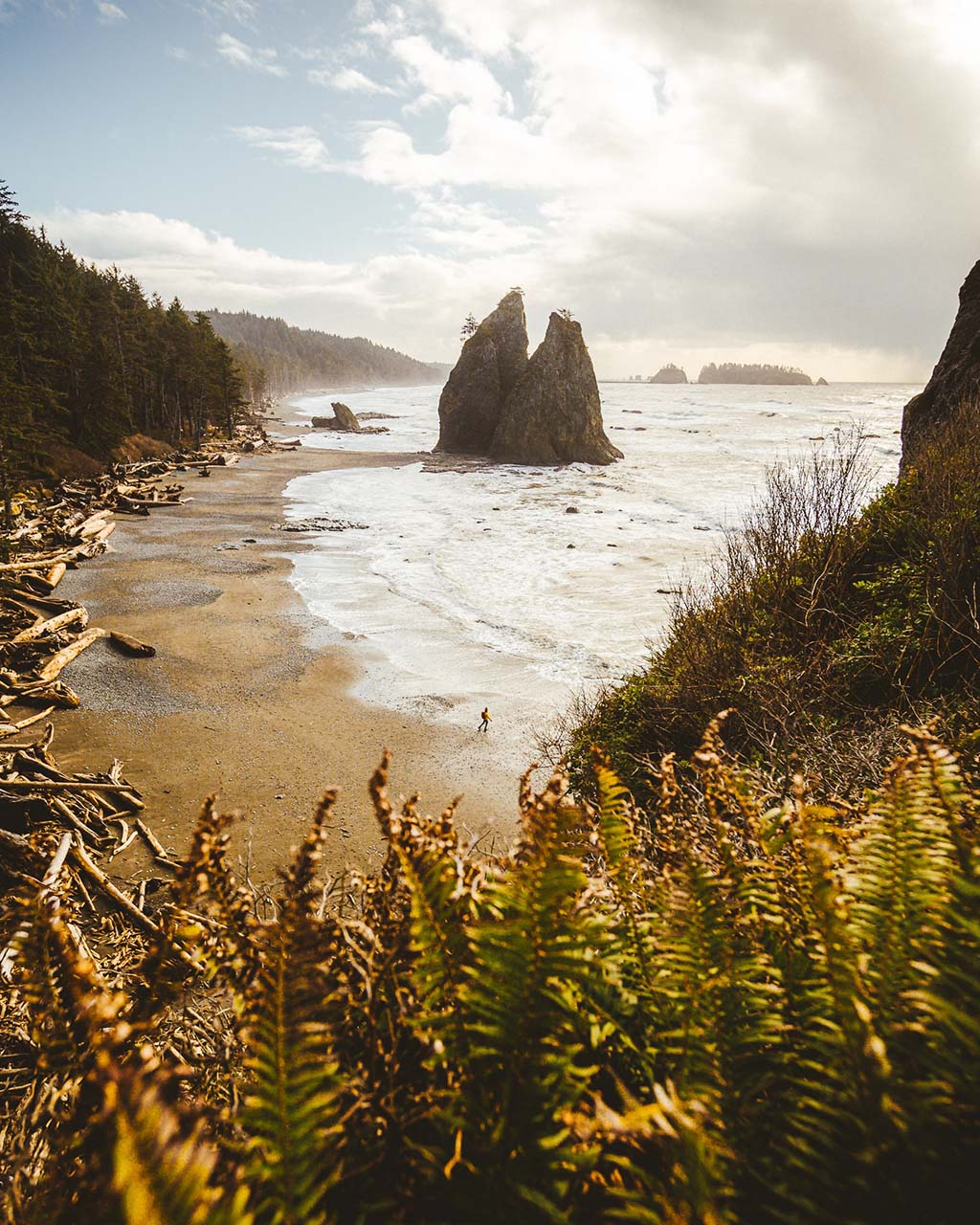 landscape photo on the beach with large rock