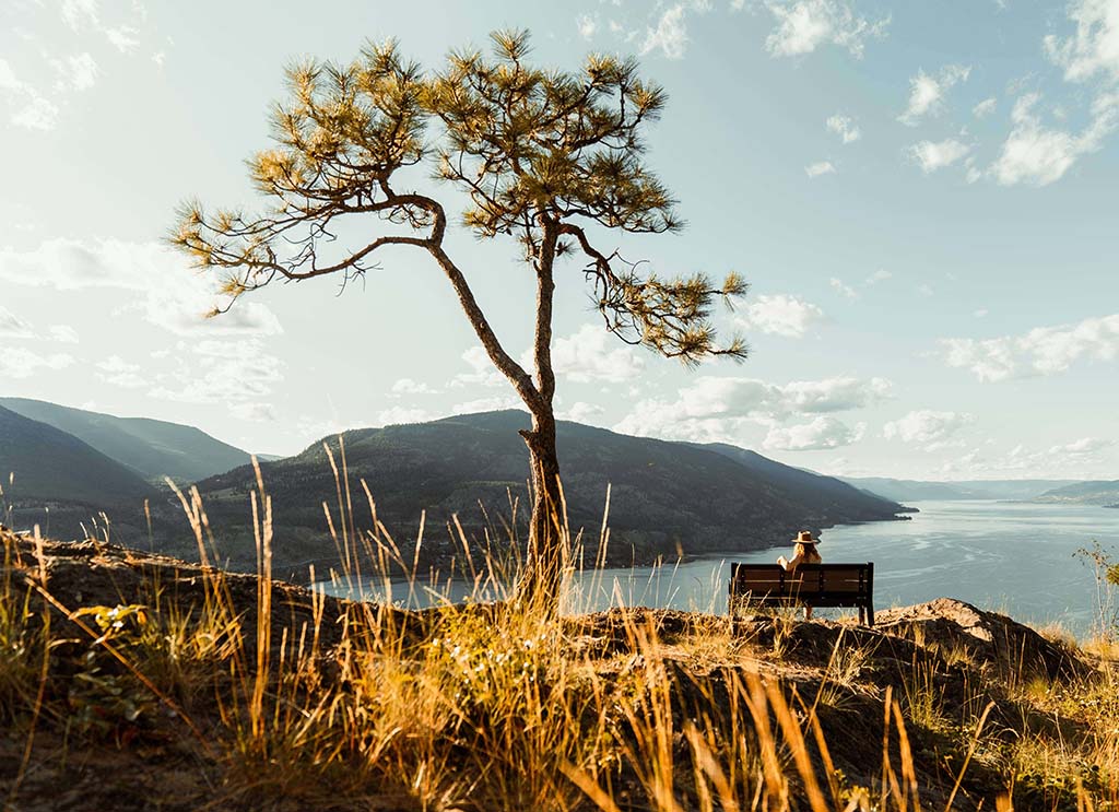 Woman Sitting on a Bench Looking at a Waterscape by Jordan McGarth